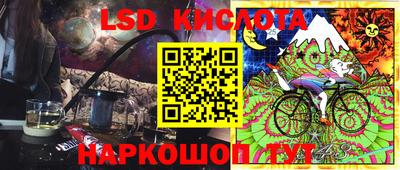 прущие грибы Кандалакша