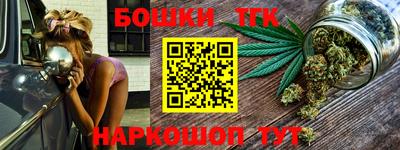 прущие грибы Кандалакша