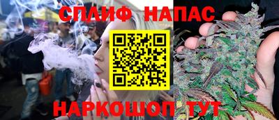 прущие грибы Кандалакша