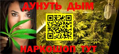 прущие грибы Кандалакша